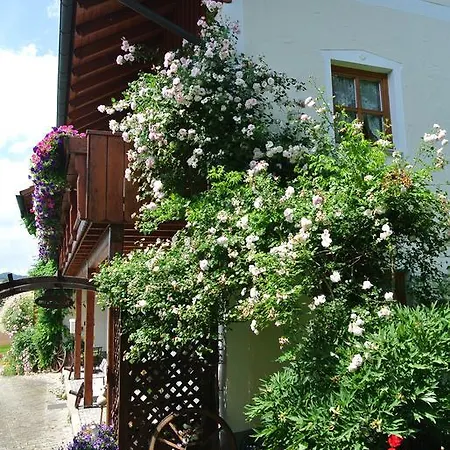 Haus Am Waldrand - Augustin غرافناو
