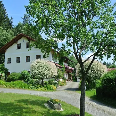 Apartament Haus Am Waldrand - Augustin *
