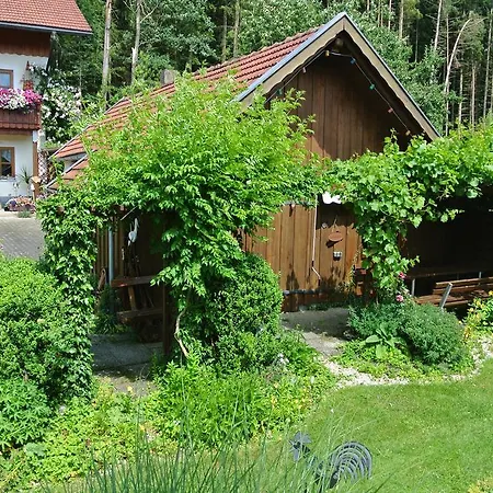 Apartman Haus Am Waldrand - Augustin