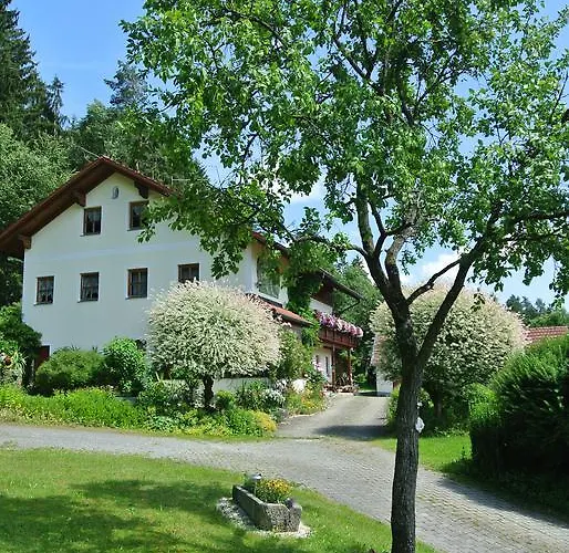 Apartamento Haus Am Waldrand - Augustin *