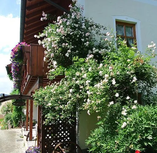 Haus Am Waldrand - Augustin Grafenau (Bavaria)